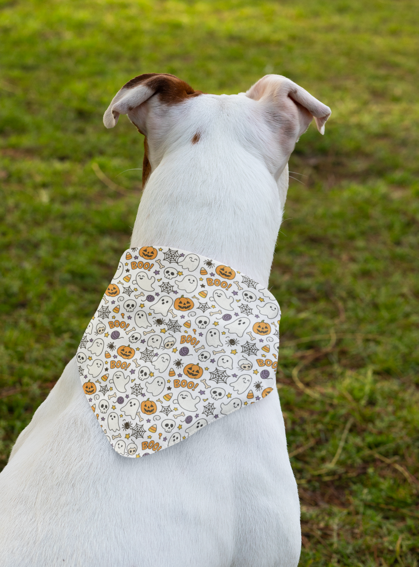 Halloween Pet Bandana Ghost & Pumpkin Dog Scarf, Cute Cat Accessory, Spooky 27x13 Polyester Bandana