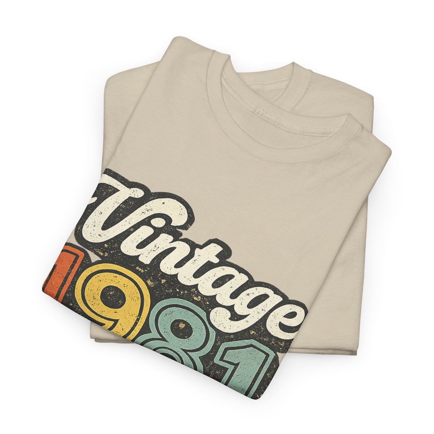 Vintage 1981 Retro T-Shirt | 1981 Birth Year Shirt | 80s Graphic Tee