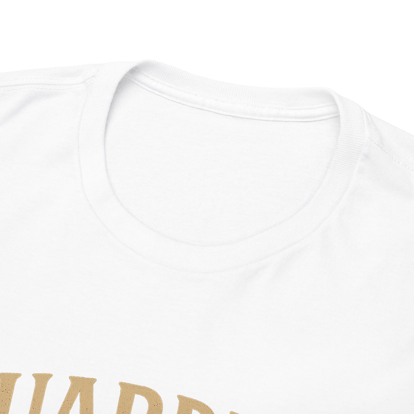 Guardian of the Forest T-Shirt, Unisex Heavy Cotton Tee, Nature Lover Gift