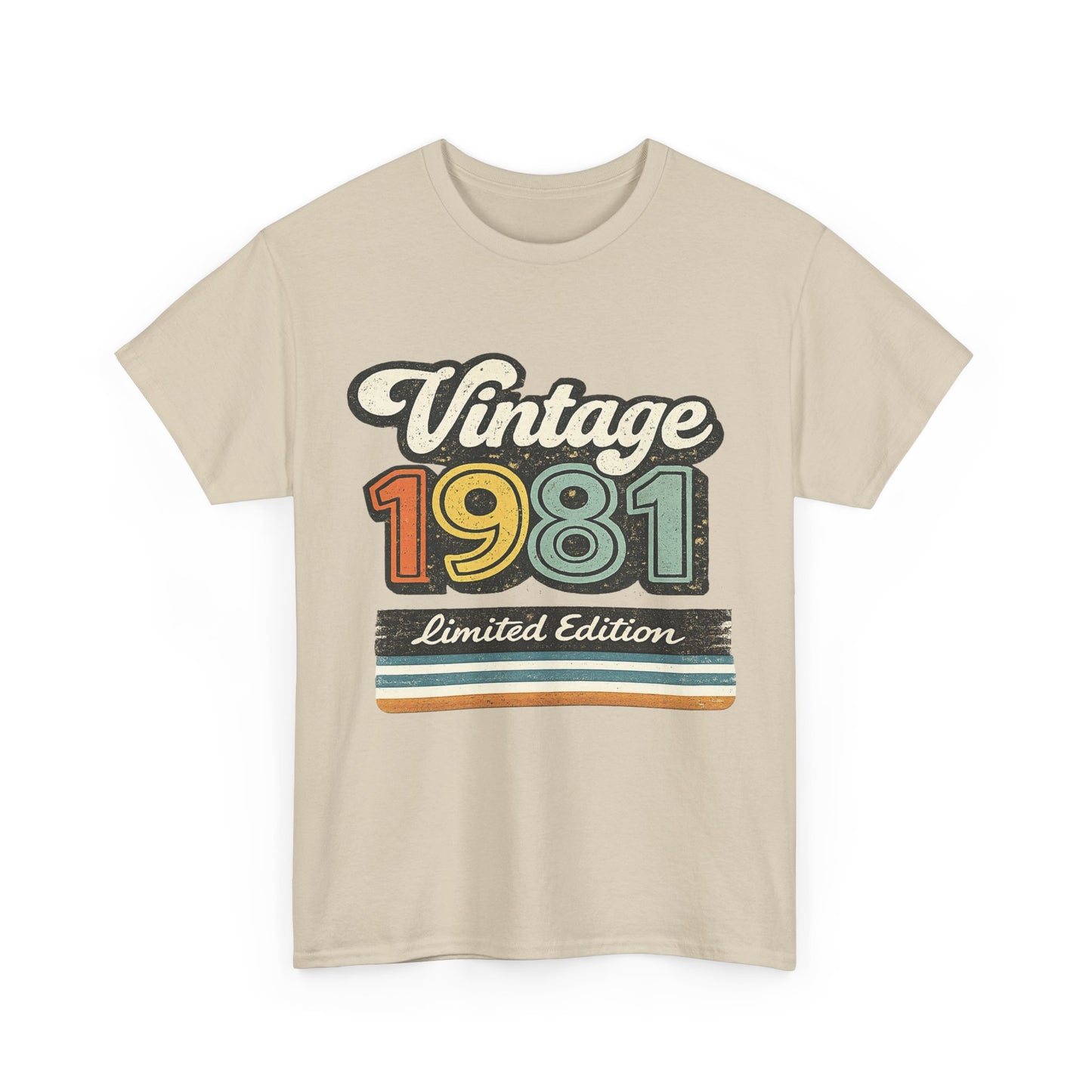 Vintage 1981 Retro T-Shirt | 1981 Birth Year Shirt | 80s Graphic Tee